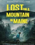 Lost on a Mountain in Maine (2024) Poster