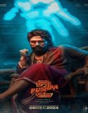 Pushpa 2 – The Rule (2024) Poster