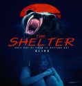 The Shelter (2024) Poster