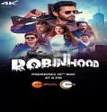 Robinhood (2025) Poster