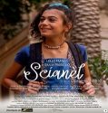 Scianel (2023) Poster