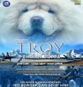 Troy the Bharat Putra (2024) Poster