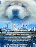 Troy the Bharat Putra (2024) Poster