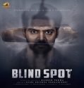 Blind Spot (2025) Poster