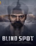 Blind Spot (2025) Poster