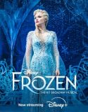 Frozen: The Hit Broadway Musical (2025) Poster