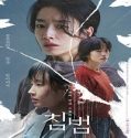 Somebody (2025) Poster
