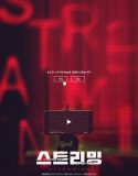 Streaming (2025) Poster