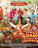 Tenu Ghodi Kinney Chadaya (2025) Poster