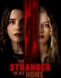 The Stranger in My Home (2025) Poster