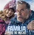 Almost Family (2025) Poster
