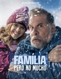 Almost Family (2025) Poster