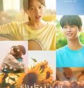 Midnight Sun (2025) Poster