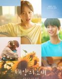 Midnight Sun (2025) Poster