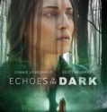Echoes in the Dark (2024) Poster