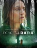 Echoes in the Dark (2024) Poster