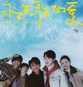 Everlasting Love (2025) Poster