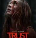 Trust (2025) Poster