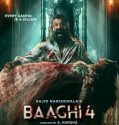 Baaghi 4 (2025) Poster