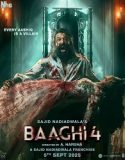 Baaghi 4 (2025) Poster