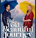 A Big Bold Beautiful Journey (2025) Poster