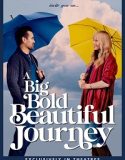A Big Bold Beautiful Journey (2025) Poster